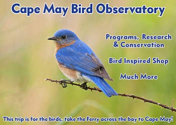 Cape May Bird Observatory