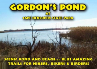 Gordon's Pond at Cape Henlopen State Park
